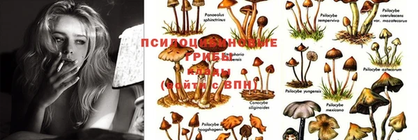 спайс Абдулино