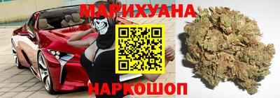 скорость Новозыбков