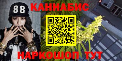 мдпв Новокубанск