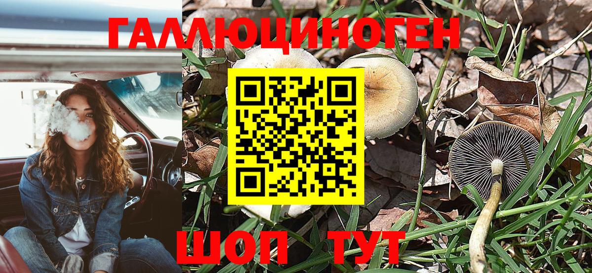Юрга  Псилоцибиновые грибы мухоморы  наркошоп  Вход с VPN 